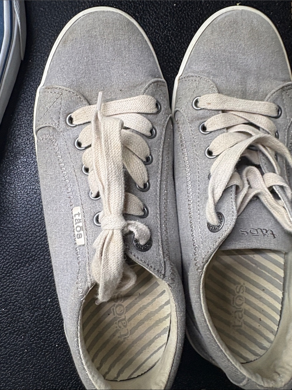 Taos Footwear Women's Canvas Sneakers in Light Gray